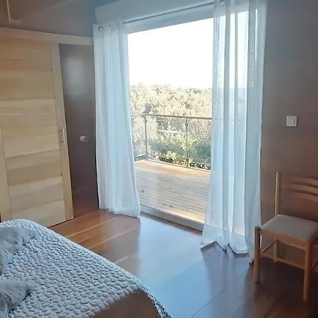 Angelini Valle-di-Campoloro