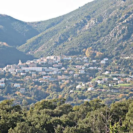 Angelini Valle-di-Campoloro