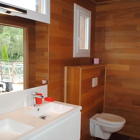 Angelini * Valle-di-Campoloro