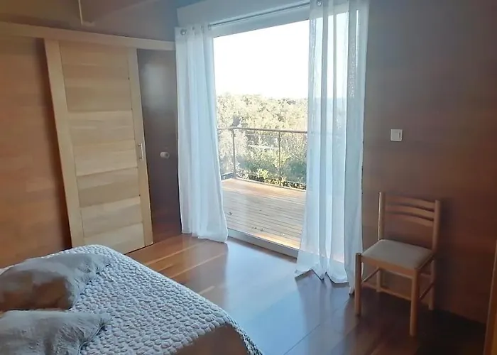 Angelini Valle-di-Campoloro