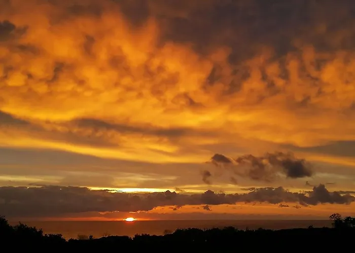 Angelini * Valle-di-Campoloro