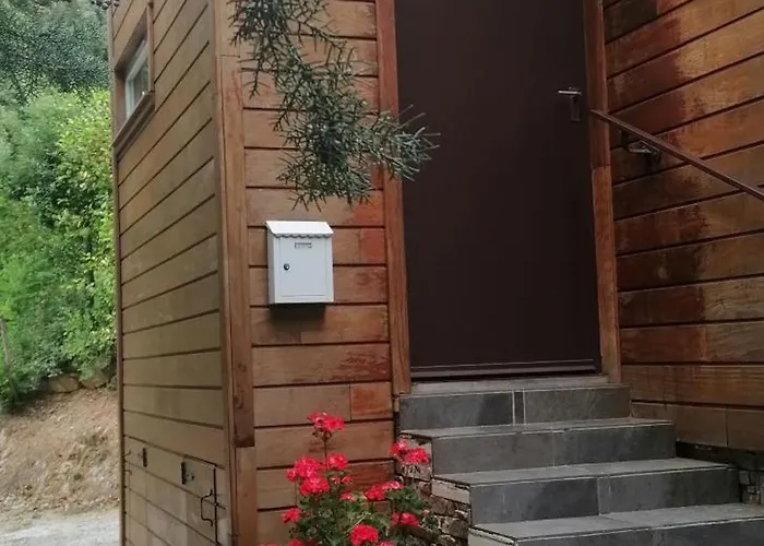 Angelini * Valle-di-Campoloro