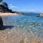 Angelini Valle-di-Campoloro