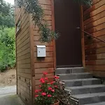 Angelini * Valle-di-Campoloro