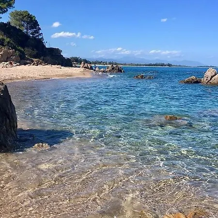 Angelini Valle-di-Campoloro
