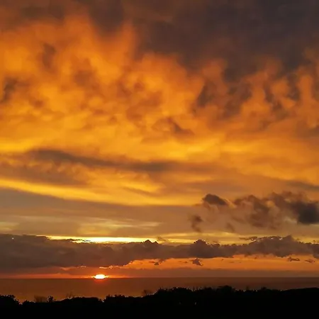 Angelini * Valle-di-Campoloro