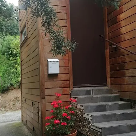 Angelini * Valle-di-Campoloro