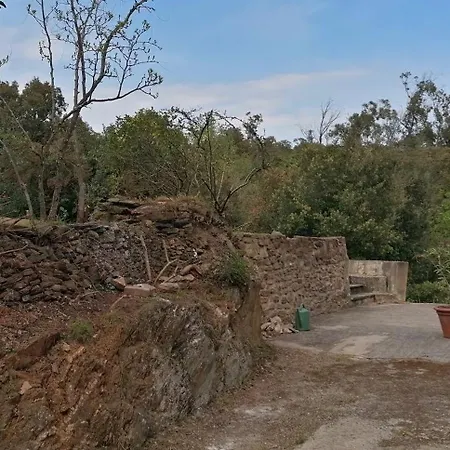 Angelini