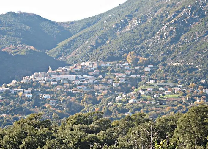 Angelini Valle-di-Campoloro